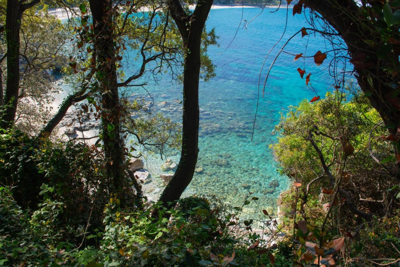 Pelion Bnb Luxury Homes Damouchari Zewnętrze zdjęcie